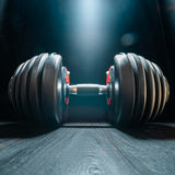 Short  Dumbbell Variably Adjustable with Rotary Mechanism from 2.5 to 24kg Adjustable Dumbbell