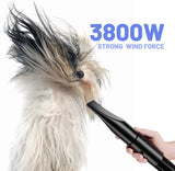 Hair Dryer Blower Very Quiet 5.2 HP / 3800 W Motor Adjustable Speed Grooming Dryer Blower with 4 Different Nozzles Elastic Hose