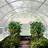 Greenhouse 3 x 2 m Stable and Durable with Window - Tear-Resistant PE