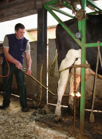 Udder Hair Remover for use with Gas Cartridge - Angled lance