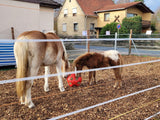 Feeding Ball  / Toy for Horses .... Hay Ball