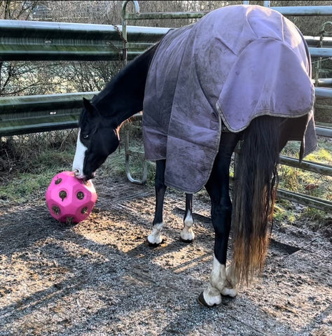 Feeding Ball  / Toy for Horses .... Hay Ball