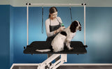 Adjustable Hydraulic Grooming Table for Pets 60 kg Scratch Resistant