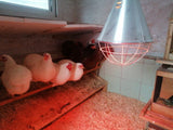 Infrared Lamp Heater 250 Watt inc Bulb