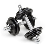 LUXTRI Dumbbell Set 20kg 8 Cast Iron Hand Weight Plates Carrying Case