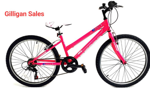 Kids  Aspect 24" Mountain Bike 9-12 years