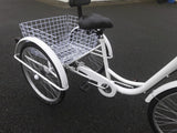 Adult tricycle trike white 6 speed 24" wheel