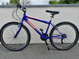 Ignite Gladiator 26" Mountain Bike