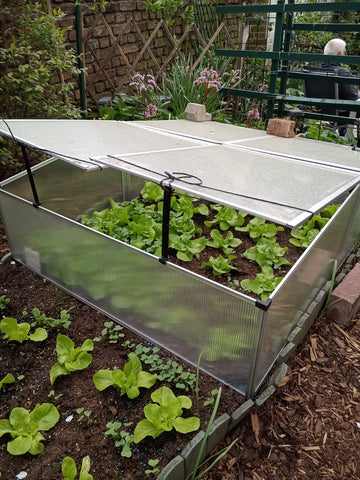 Cold Frame Greenhouse Double Aluminium Mini 100x120x40 cm