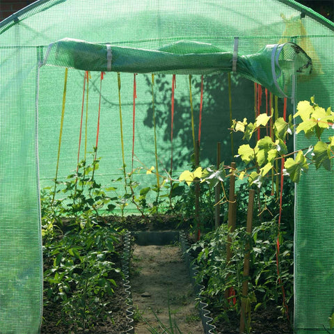 Poly Greenhouse PE Hoop Tunnel 300x200x200cm