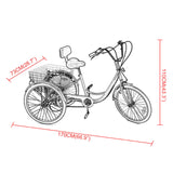 Adult tricycle trike white 6 speed 24" wheel