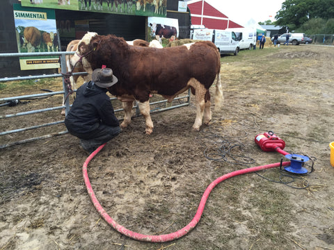 ErgoPro Dual Motor Blower for pedigree Shows equine dogs cats vets