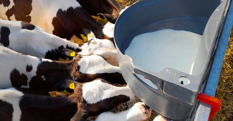 Milk Bar ™ 8 Feeder Bucket