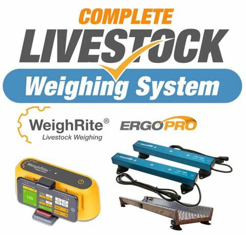 Kit - WeighRite + LB6-1500 + Standard Platform